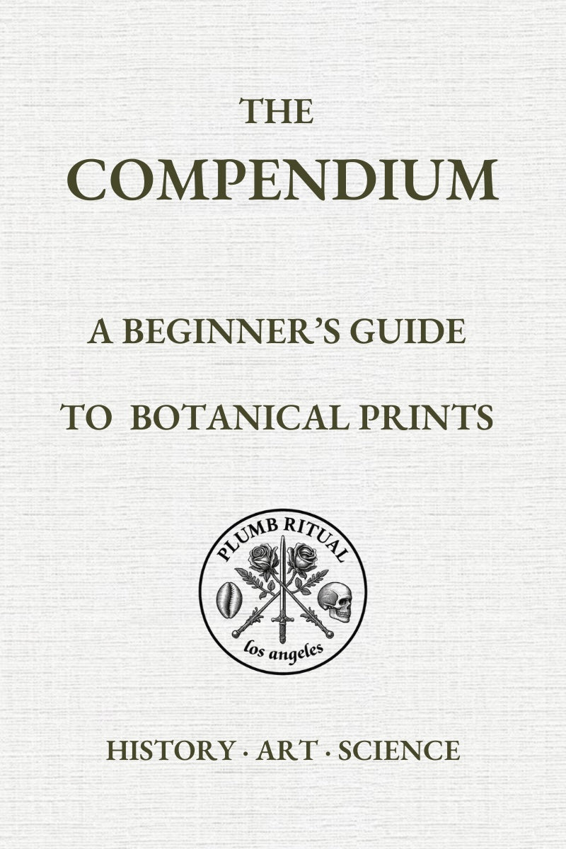 A Beginner’s Guide to Botanical Prints