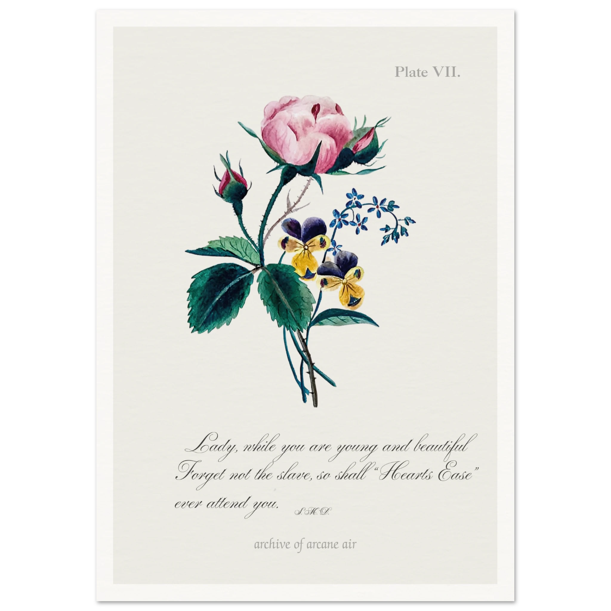 019b1f87-fab6-43b4-a47c-5a024b369747