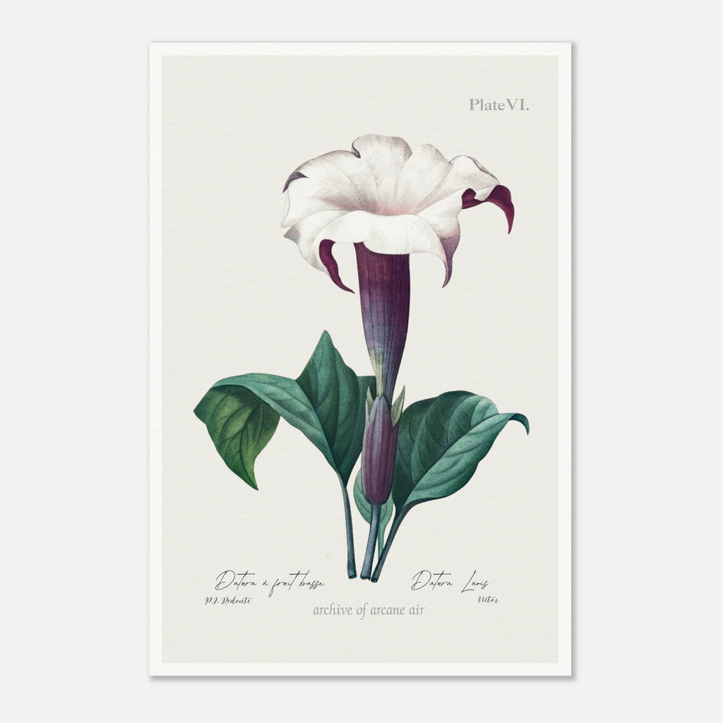 1a1a7847-97ac-4055-b314-5153b896c2de