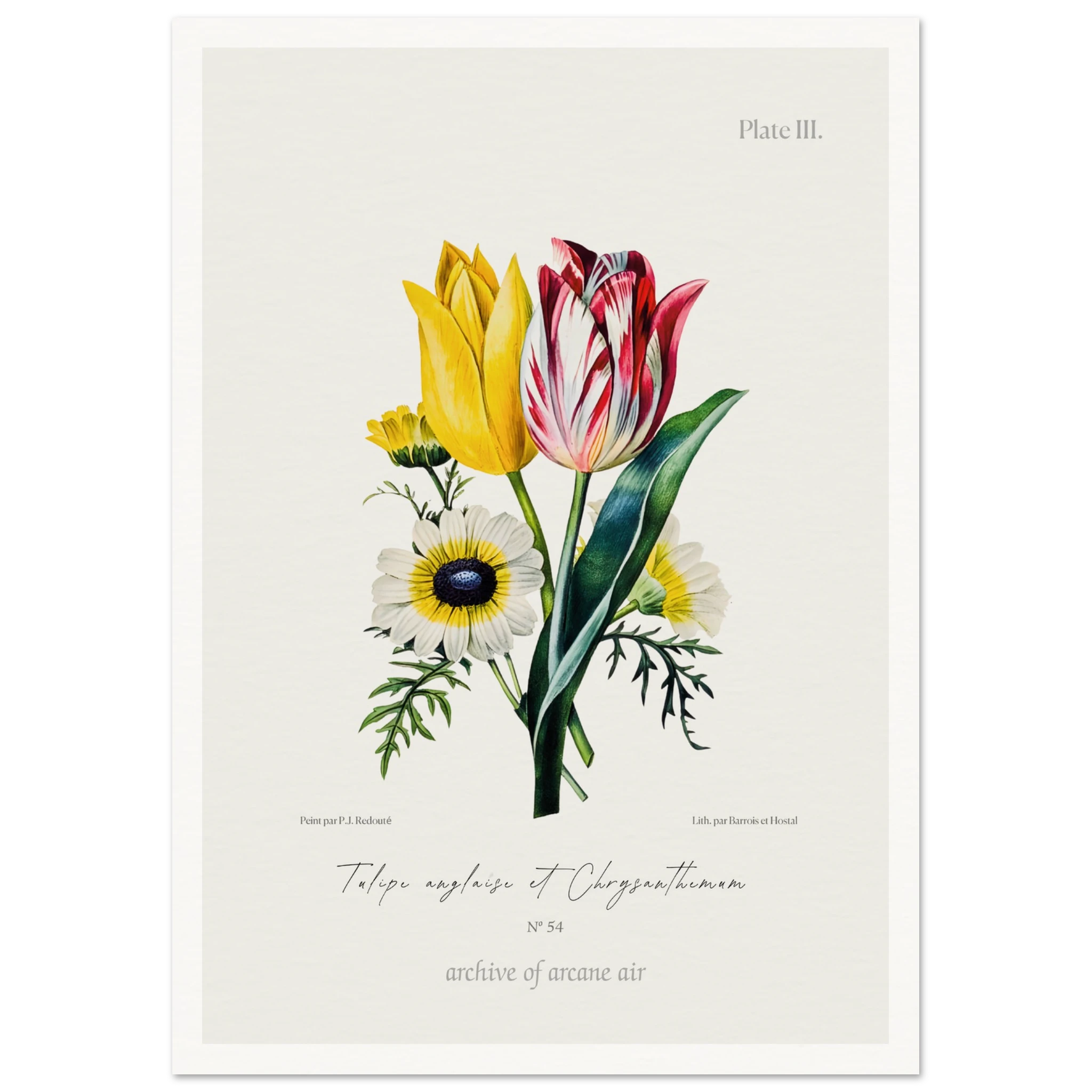 2421e10e-25f2-417d-bbde-9bdcf7402b0d