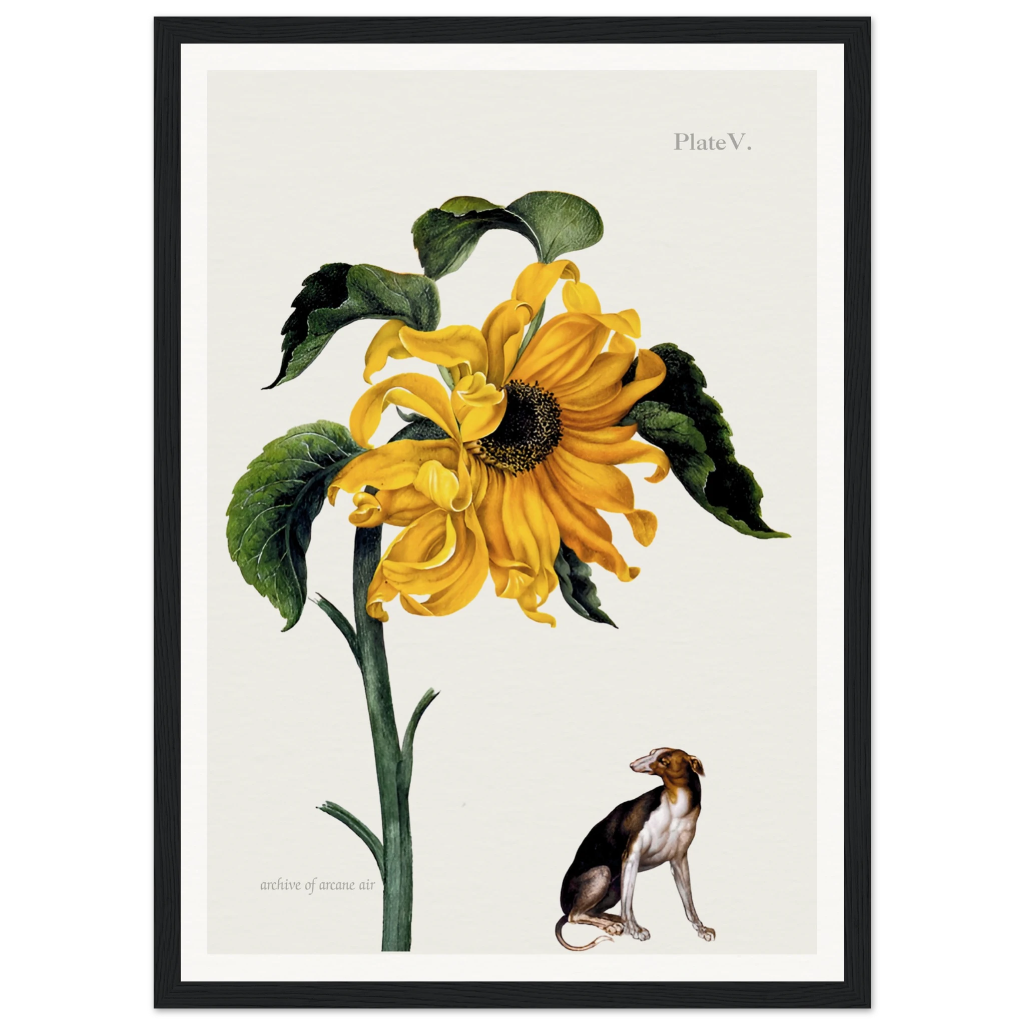 274bc775-e94f-45c9-91ea-49f15891a540