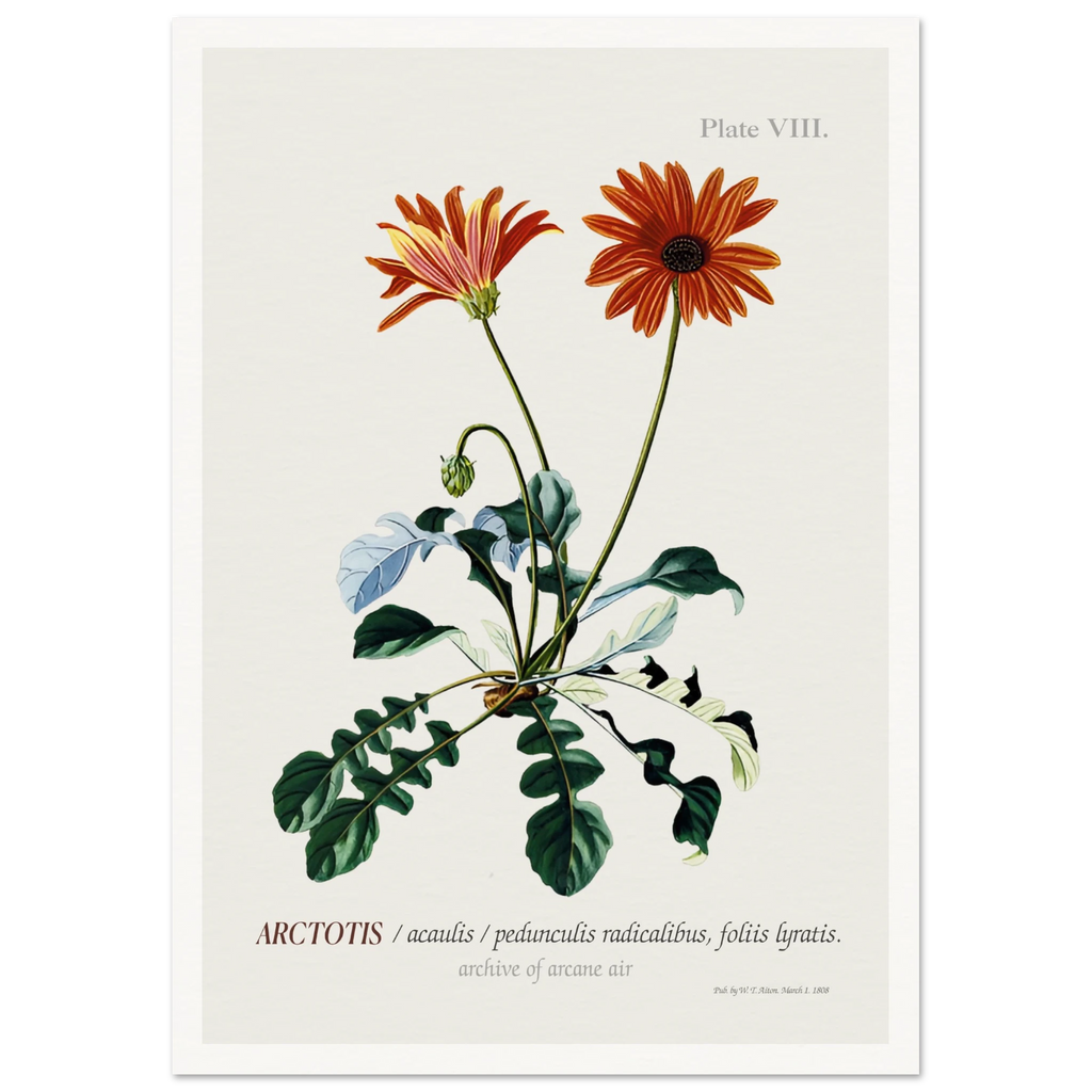 2dd9eee5-9834-4465-b774-6b84917c2fae