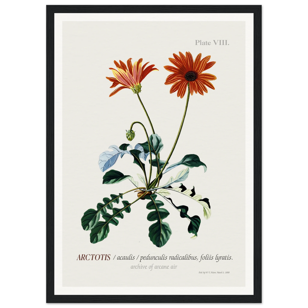 51530d2f-b388-42b6-8ec0-ebf69745a919