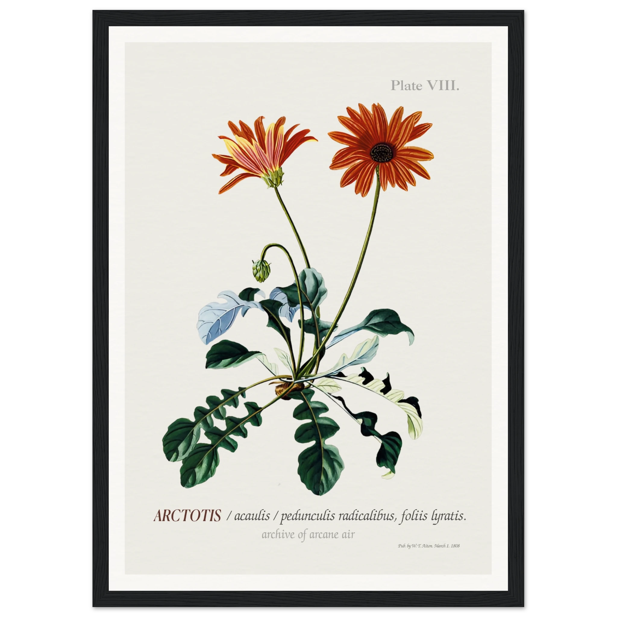 51530d2f-b388-42b6-8ec0-ebf69745a919