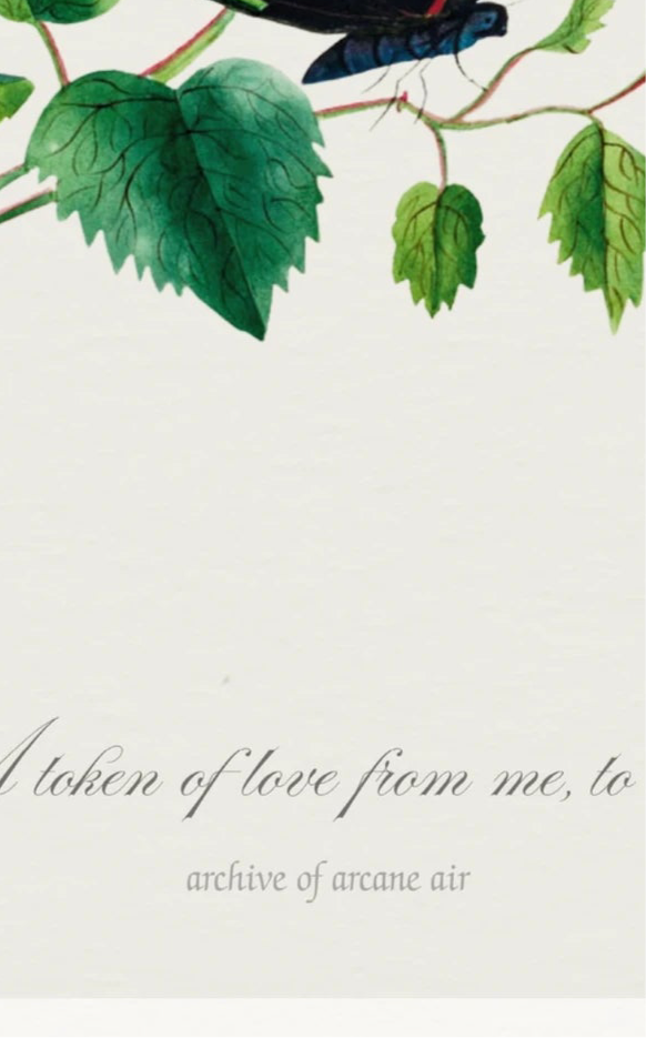 A Token of Love From Me, to Thee – Sarah Mapps Douglass, 1833 | Botanical Print
