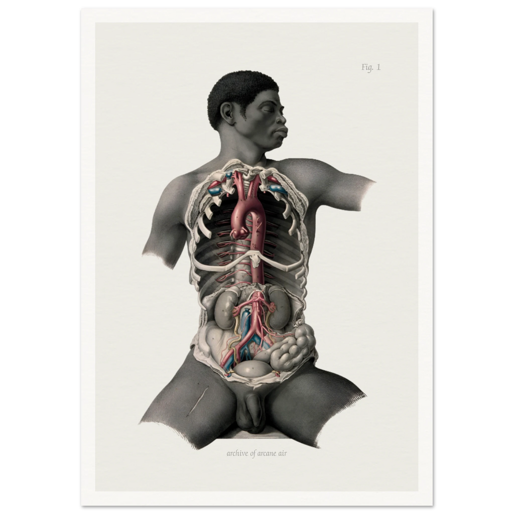 686d6b49-39cb-4d22-a132-d521c849dd92