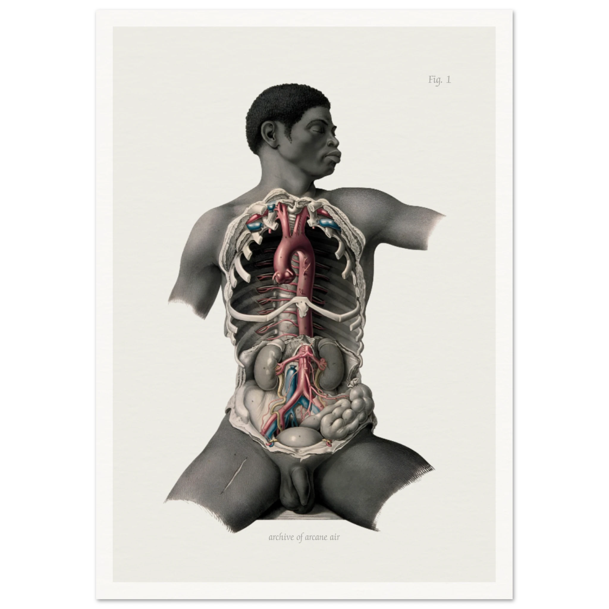 686d6b49-39cb-4d22-a132-d521c849dd92