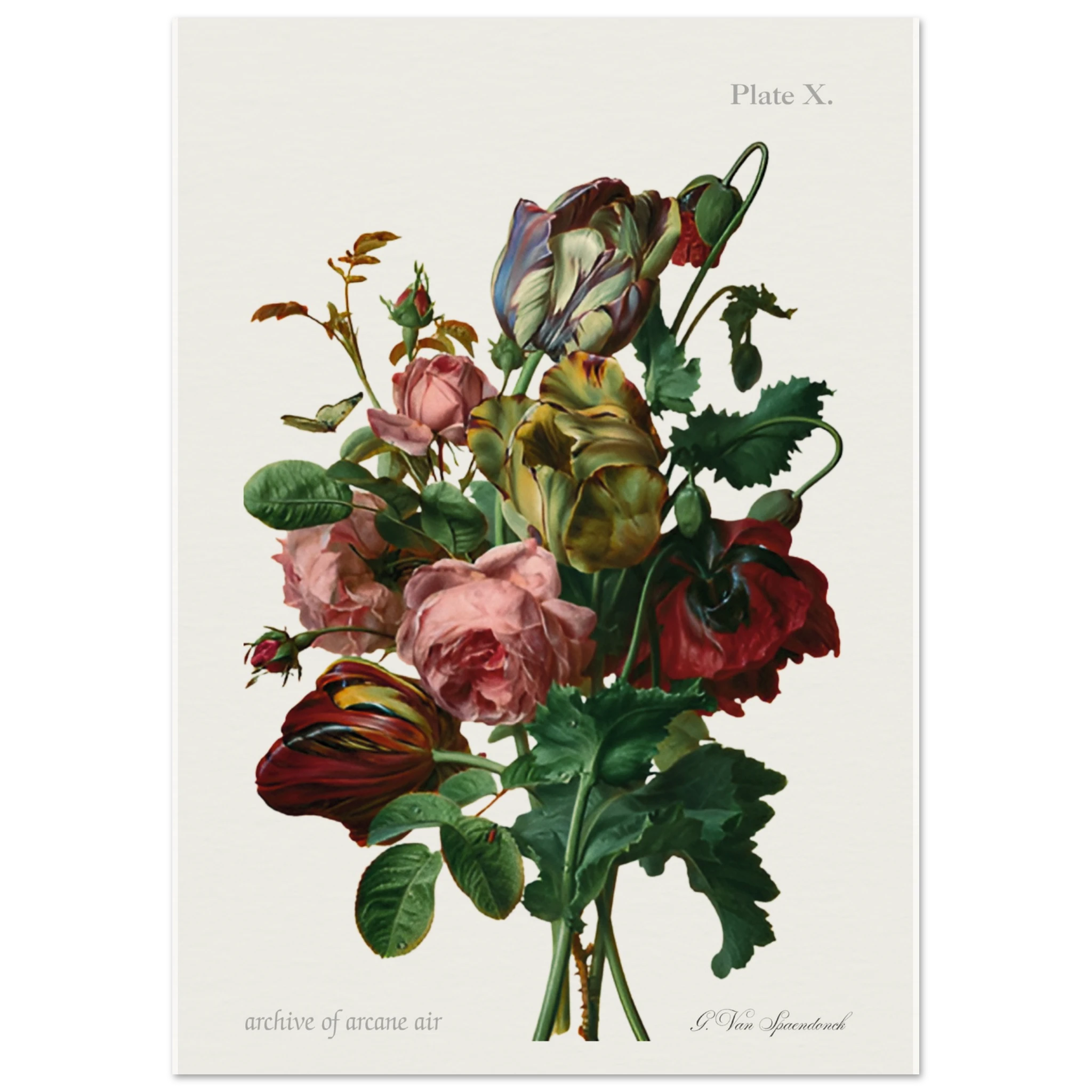 6f01d8bc-25d1-40a2-95c9-0832dd2c3d53