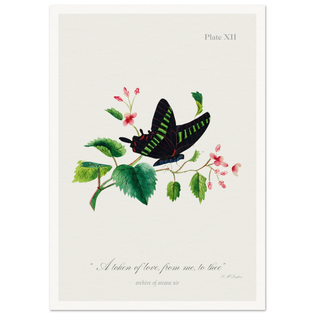 731bd7dc-6e2c-4ef3-9cad-4ded8556818e