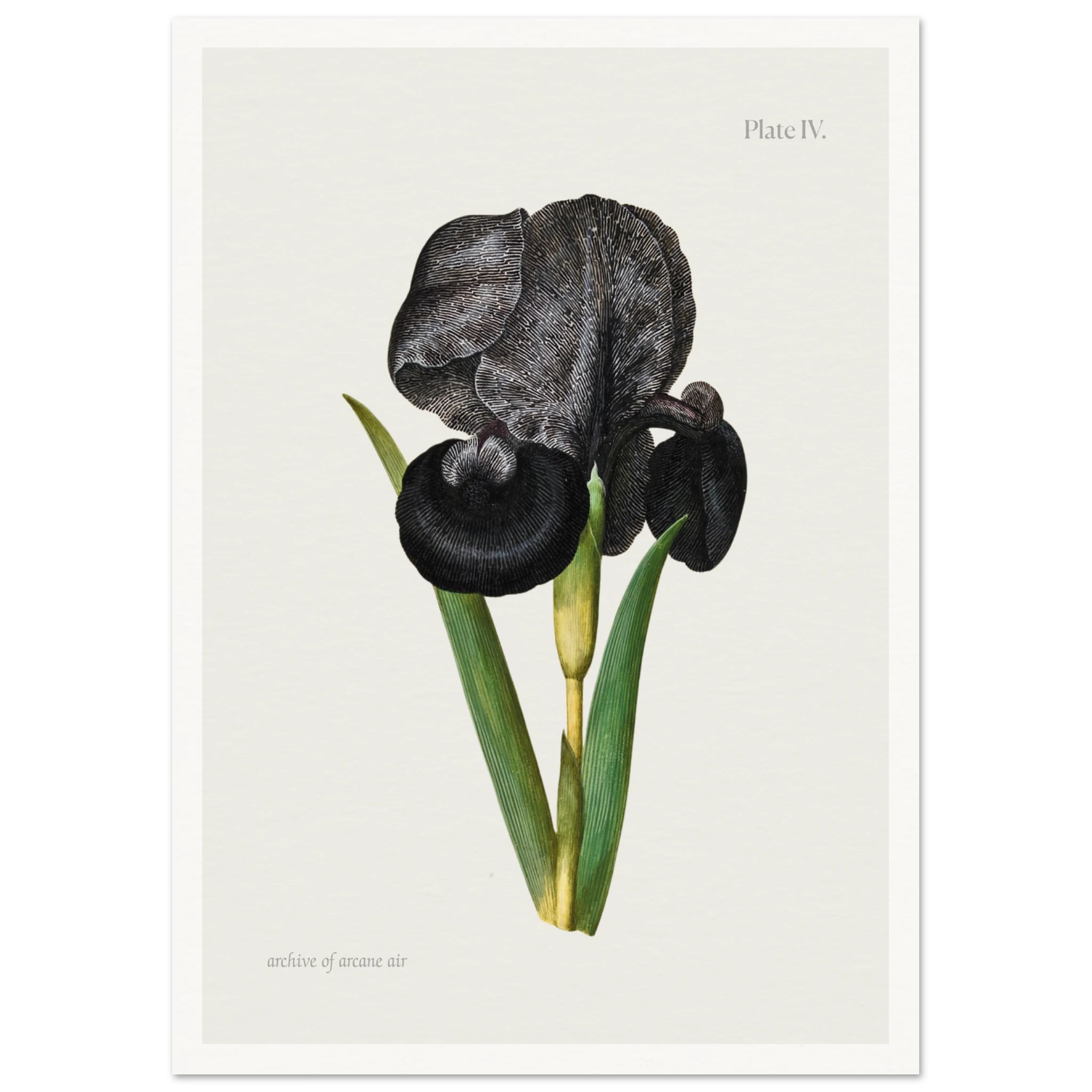 7502914a-86da-43b6-acc1-a024573da613