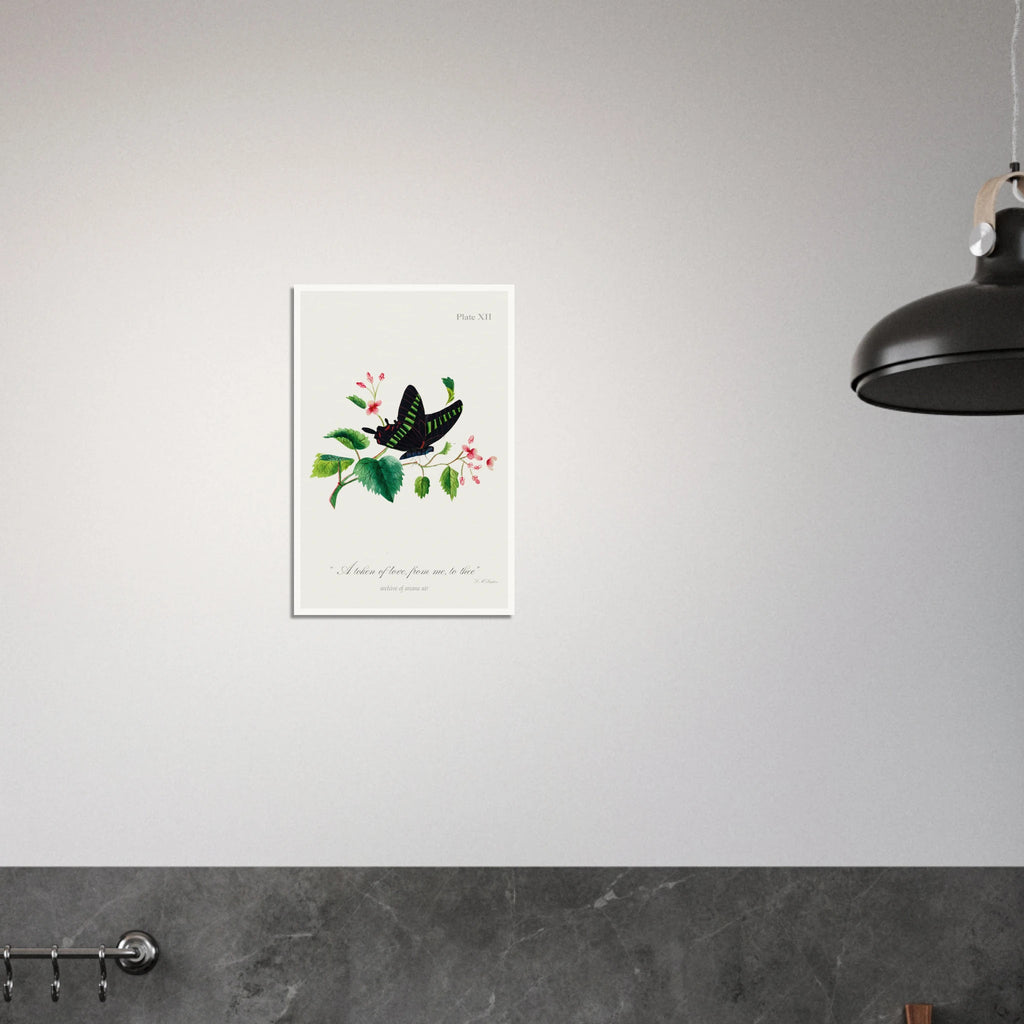 7f769ba3-f3e4-4952-b7a2-58c8a67b2bf0