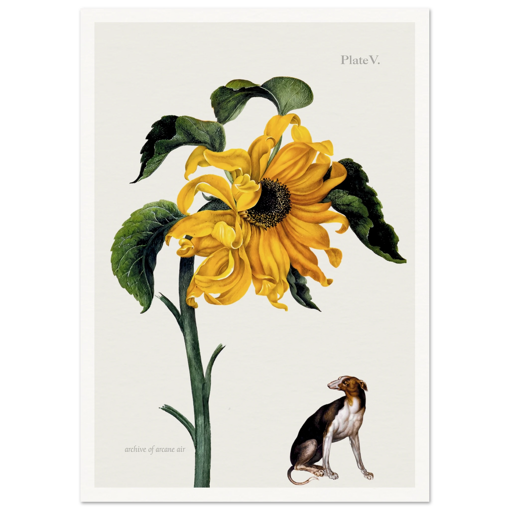 86b44125-fb45-46a1-bc5c-bbd90a1f5693