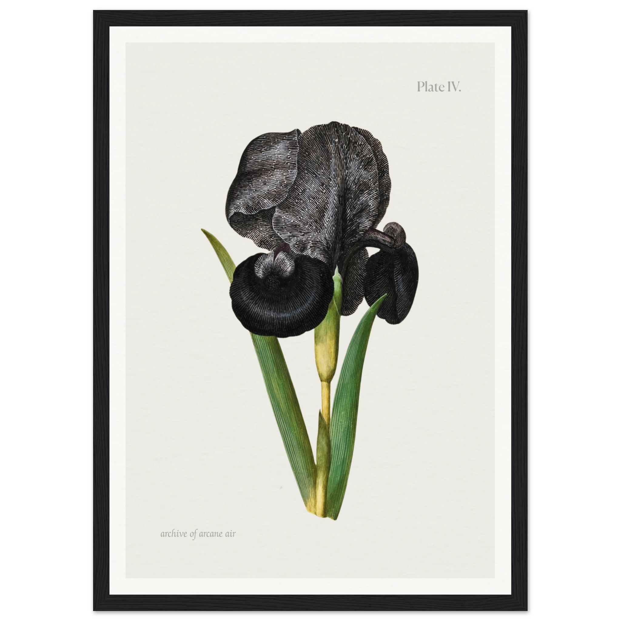 888ed9ad-17fa-4d9e-80ac-7d9c883cfba1