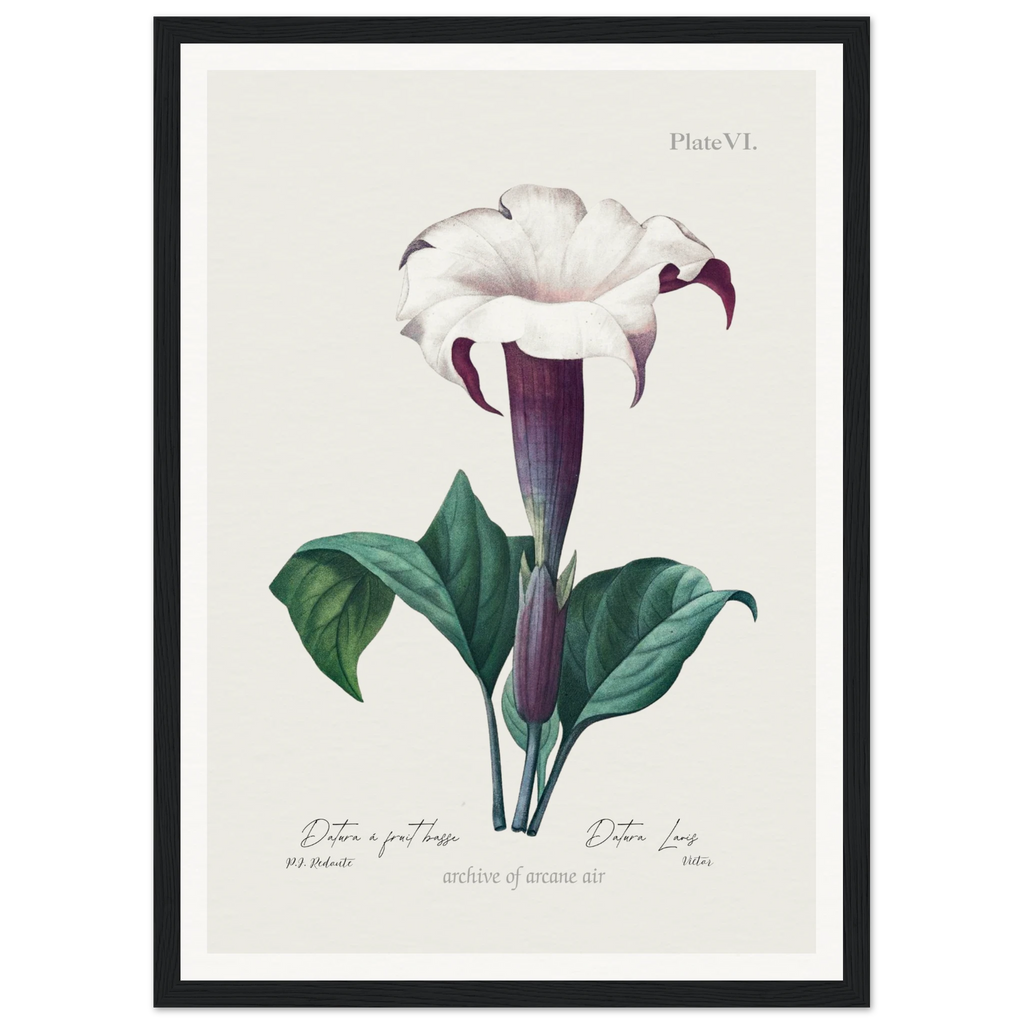 9ecb36f5-4aae-4b80-ba96-52bf3b136d3d