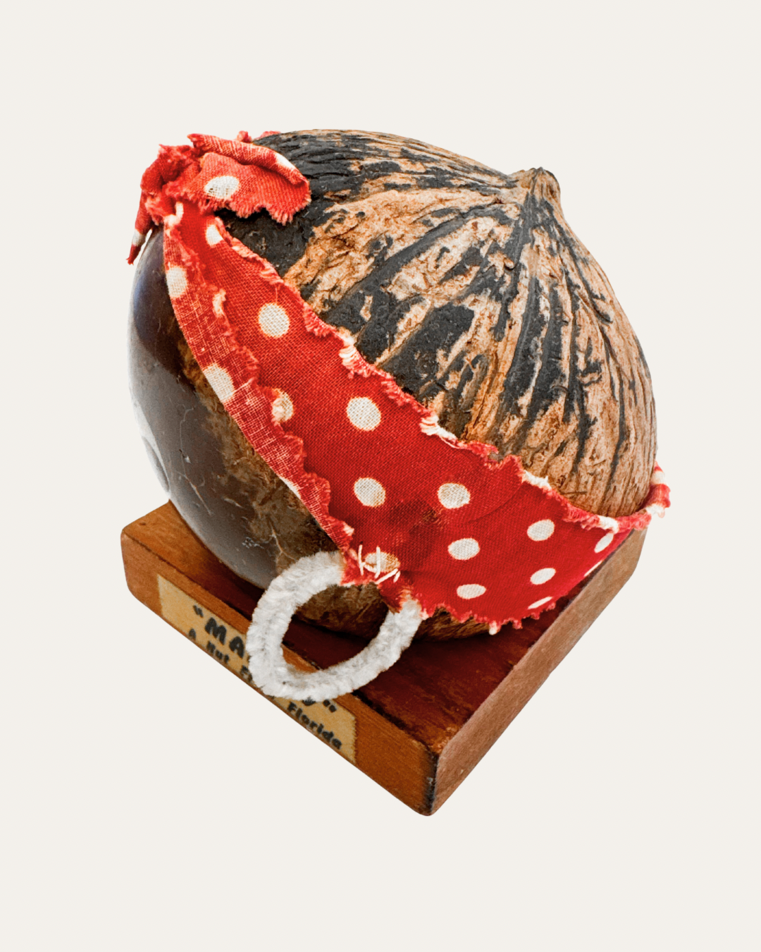 “Mammy” Coconut Coin Bank – c. 1950s, Island Trader Novelty Co., Miami FL | Vintage Curio