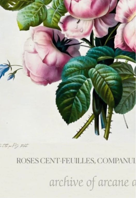 Roses, Bellflowers & Tulips – P.J. Redoute, 1802 | Botanical Print