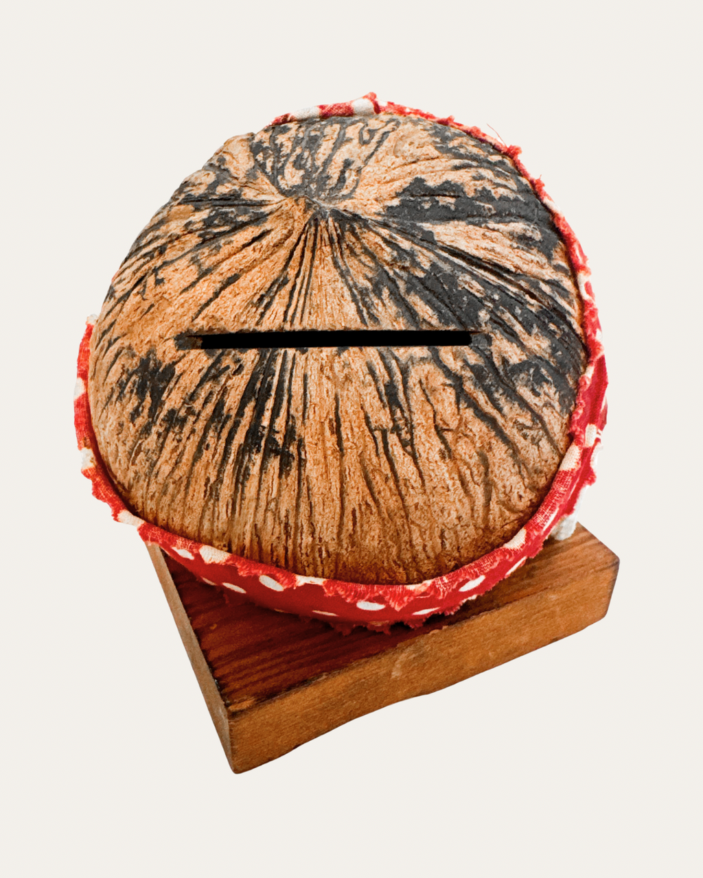 “Mammy” Coconut Coin Bank – c. 1950s, Island Trader Novelty Co., Miami FL | Vintage Curio