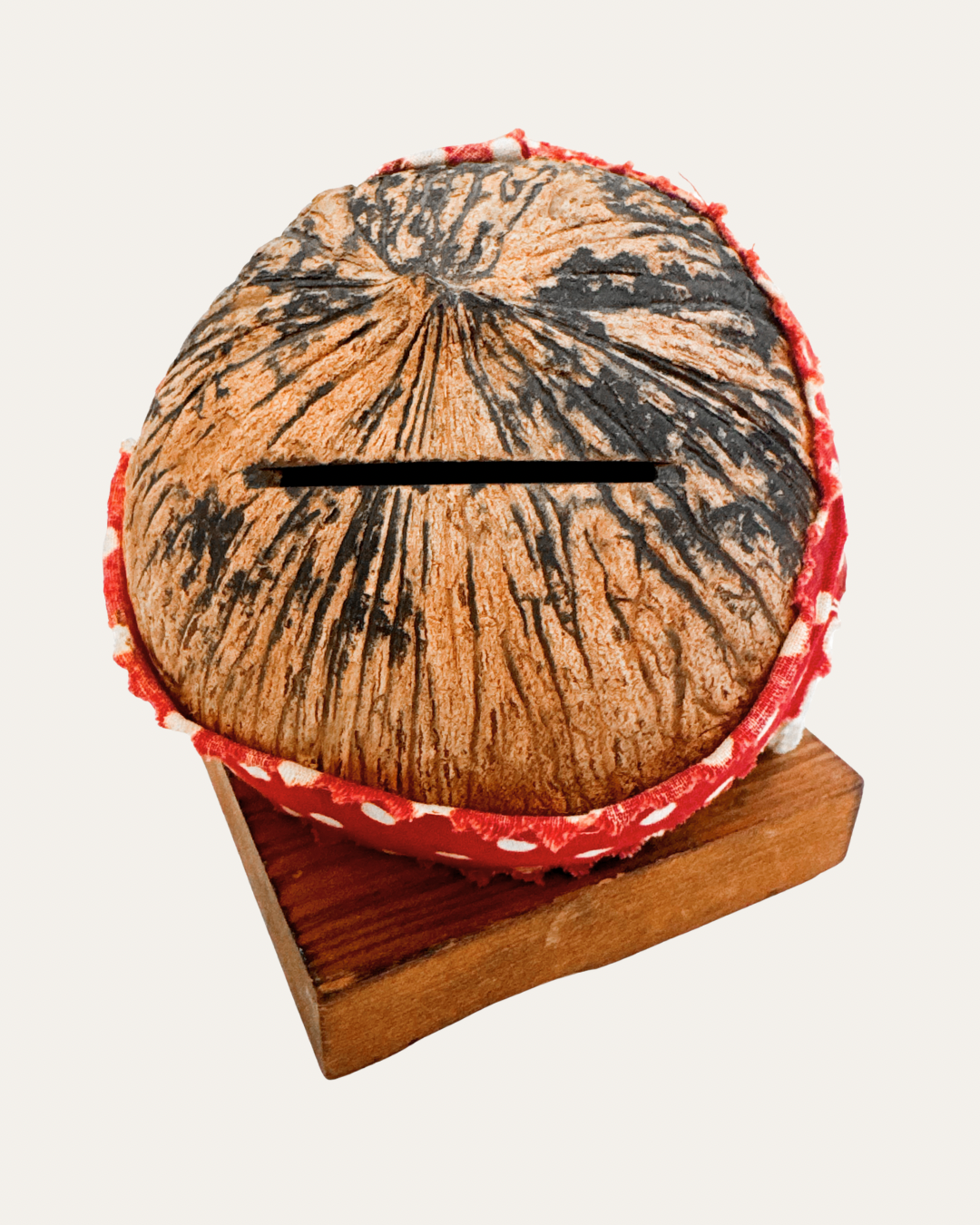 “Mammy” Coconut Coin Bank – c. 1950s, Island Trader Novelty Co., Miami FL | Vintage Curio