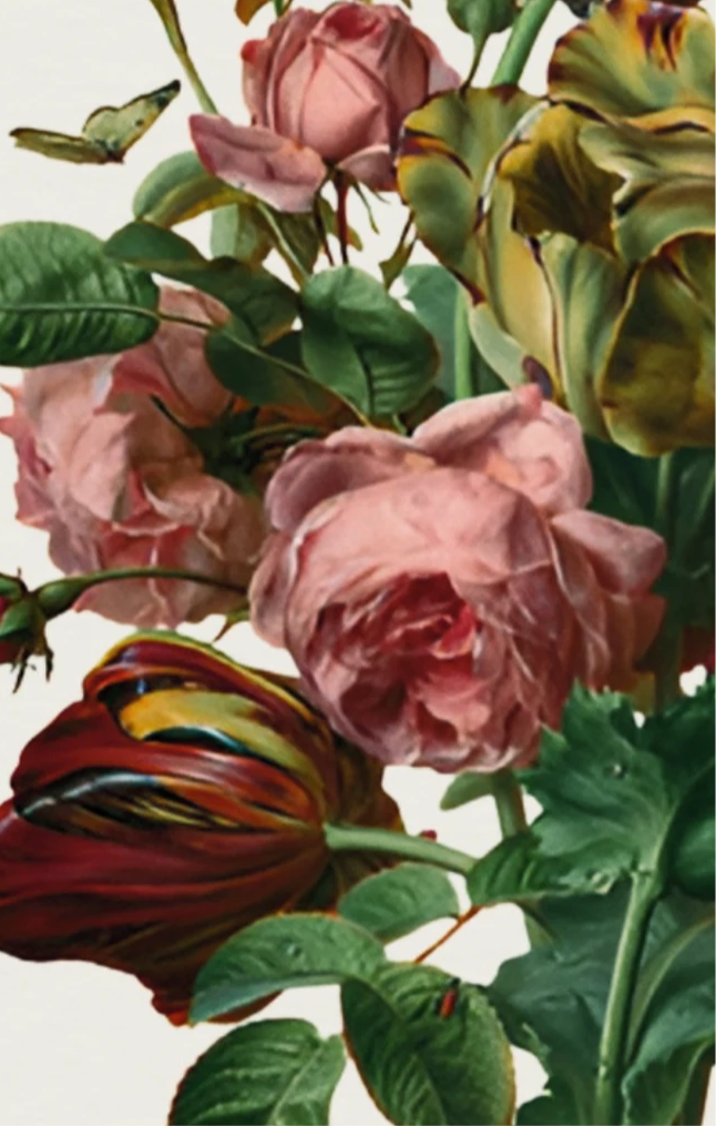 Bouquet of Flowers – Gérard van Spaendonck,  c. 1785 | Botanical Print