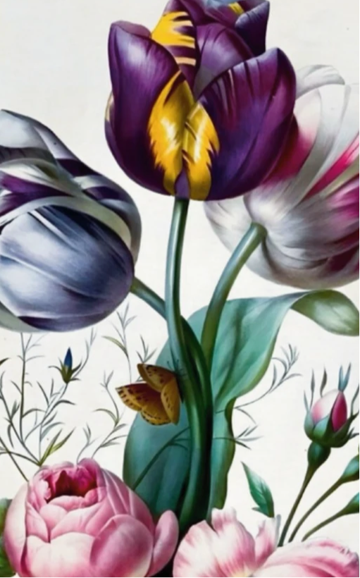 Roses, Bellflowers & Tulips – P.J. Redoute, 1802 | Botanical Print