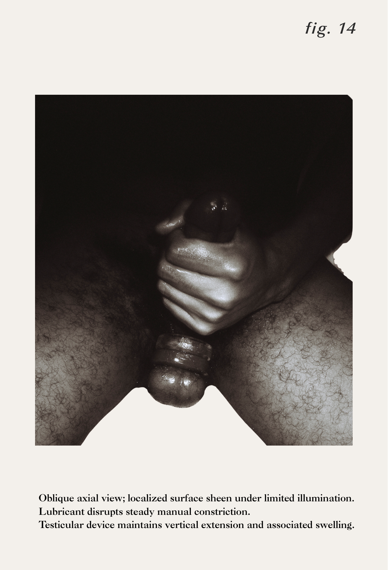 Studium Mentula | Erotic Photography Zine