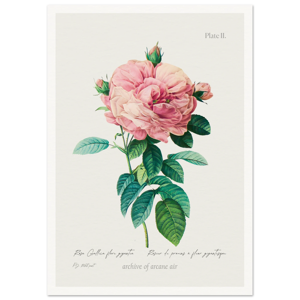 abee5a6d-7af7-48a3-a975-31f827e8fc30