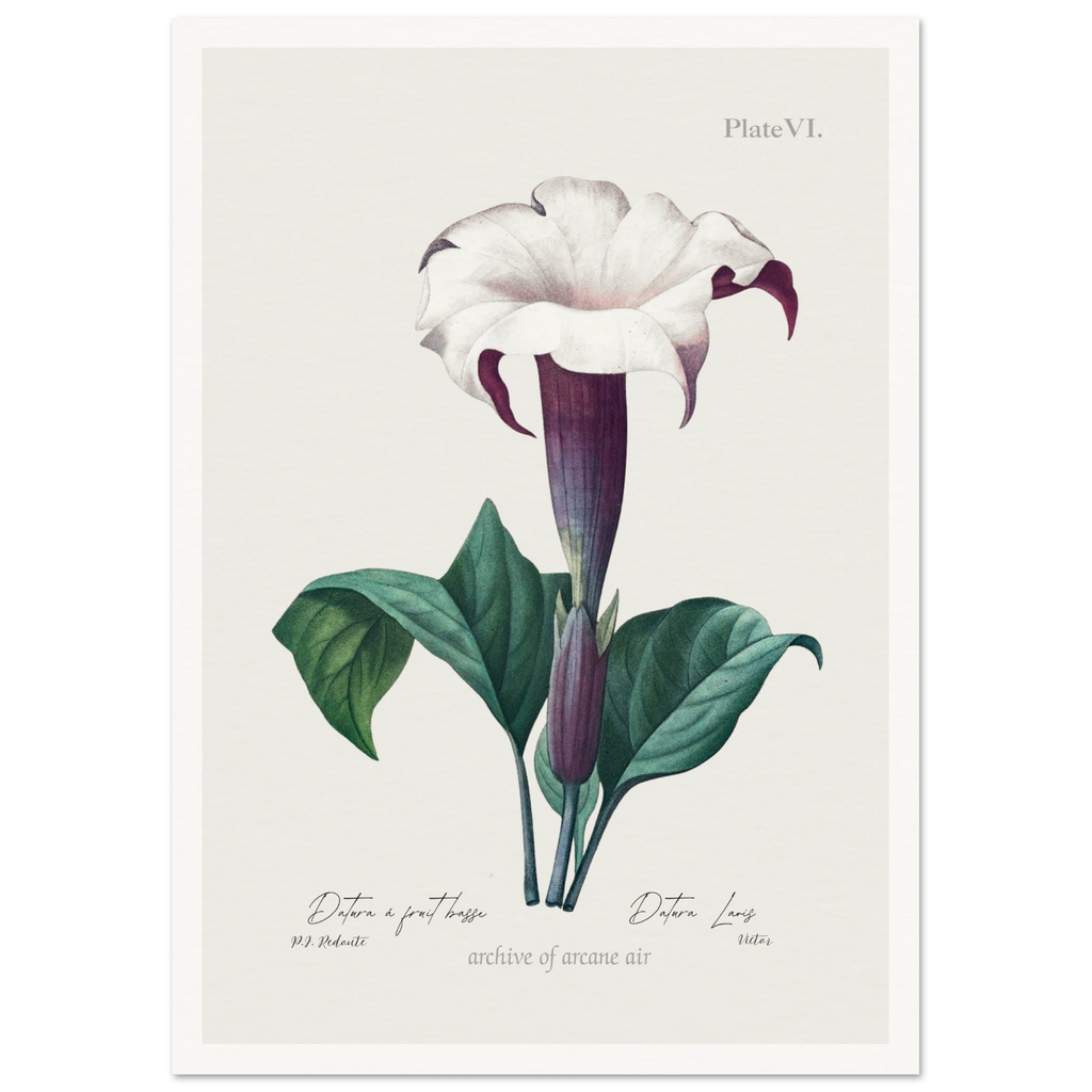 b0d927cc-31c0-4b6a-86be-8c8876711109