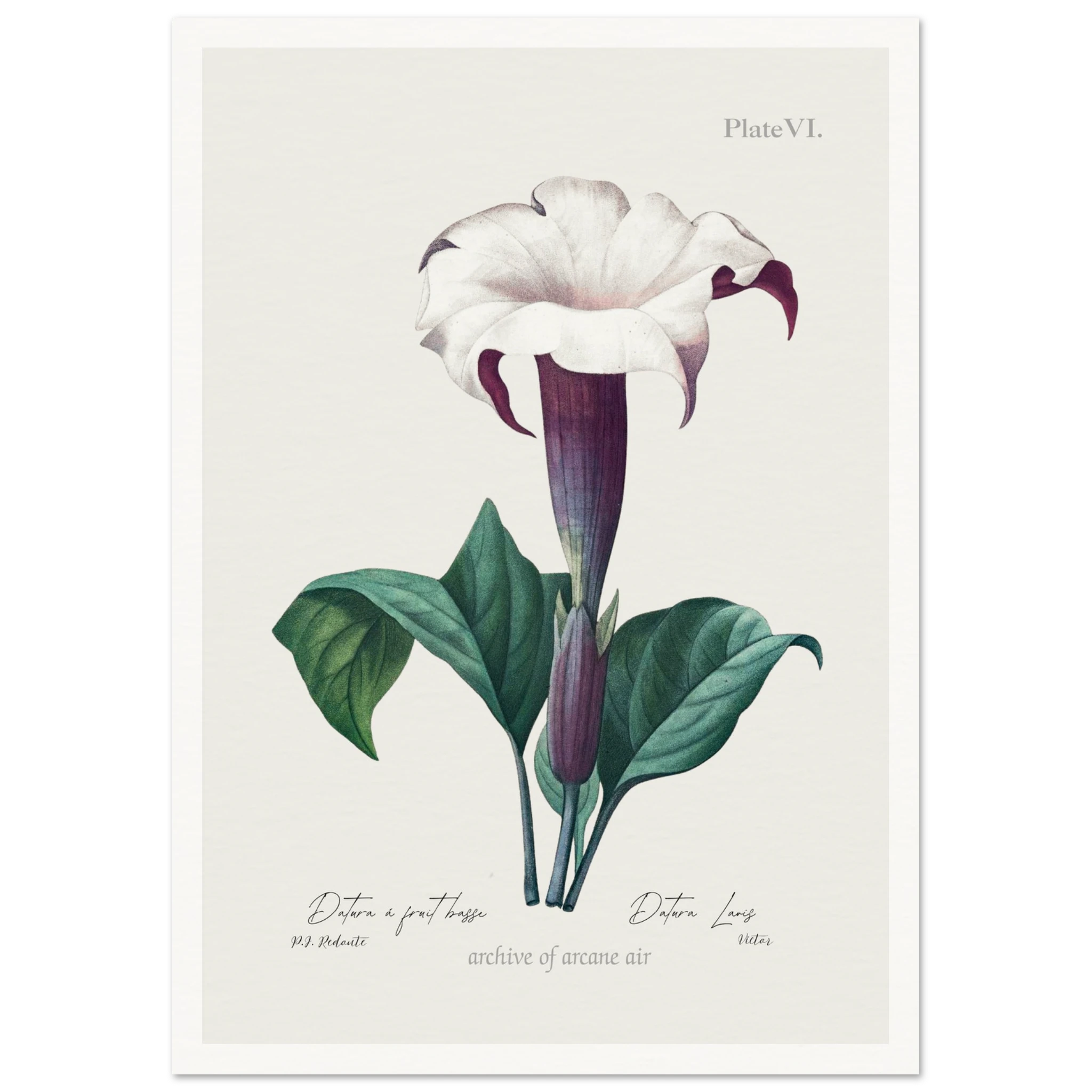 b0d927cc-31c0-4b6a-86be-8c8876711109