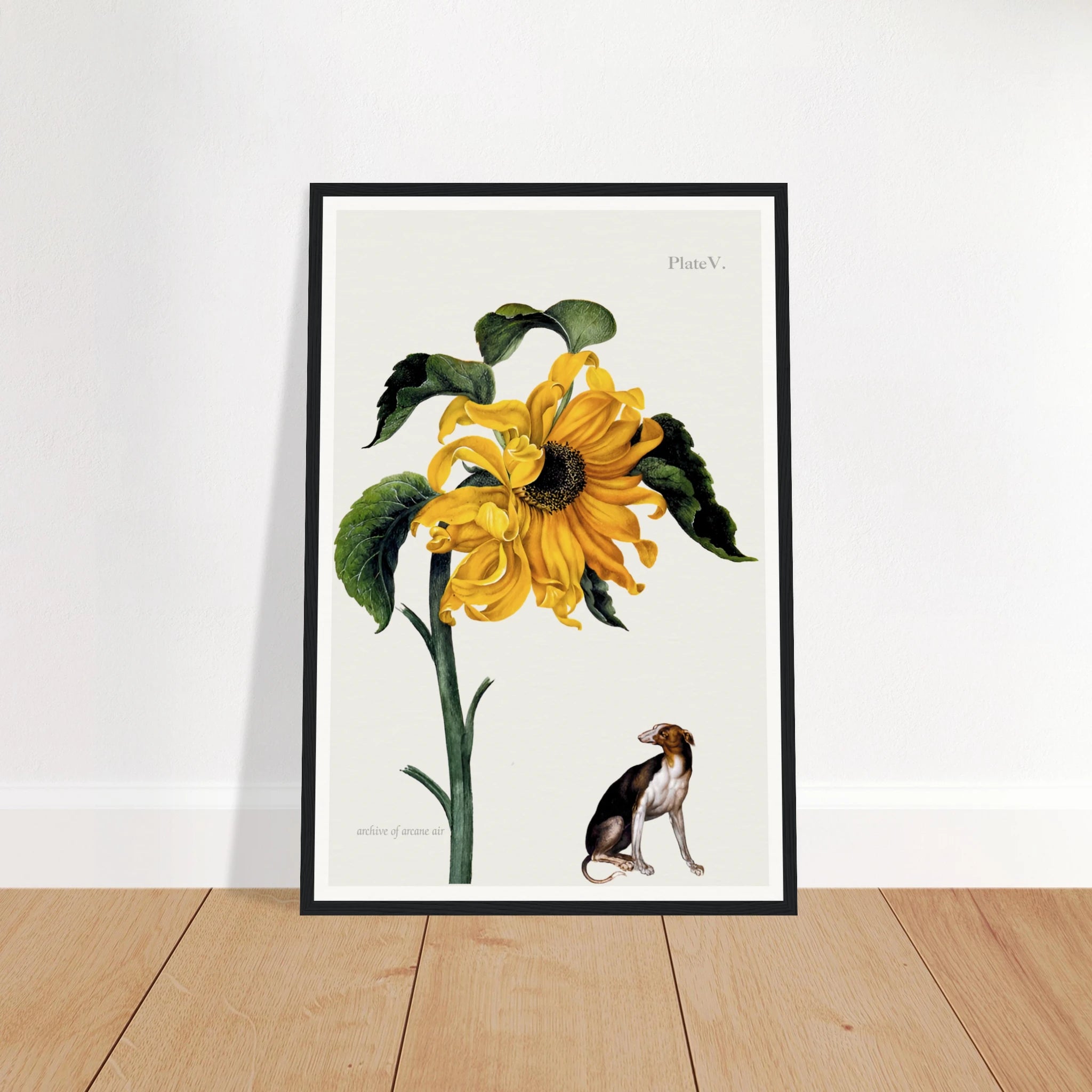 df8754f4-1890-4769-b278-8de9f5a6da1b