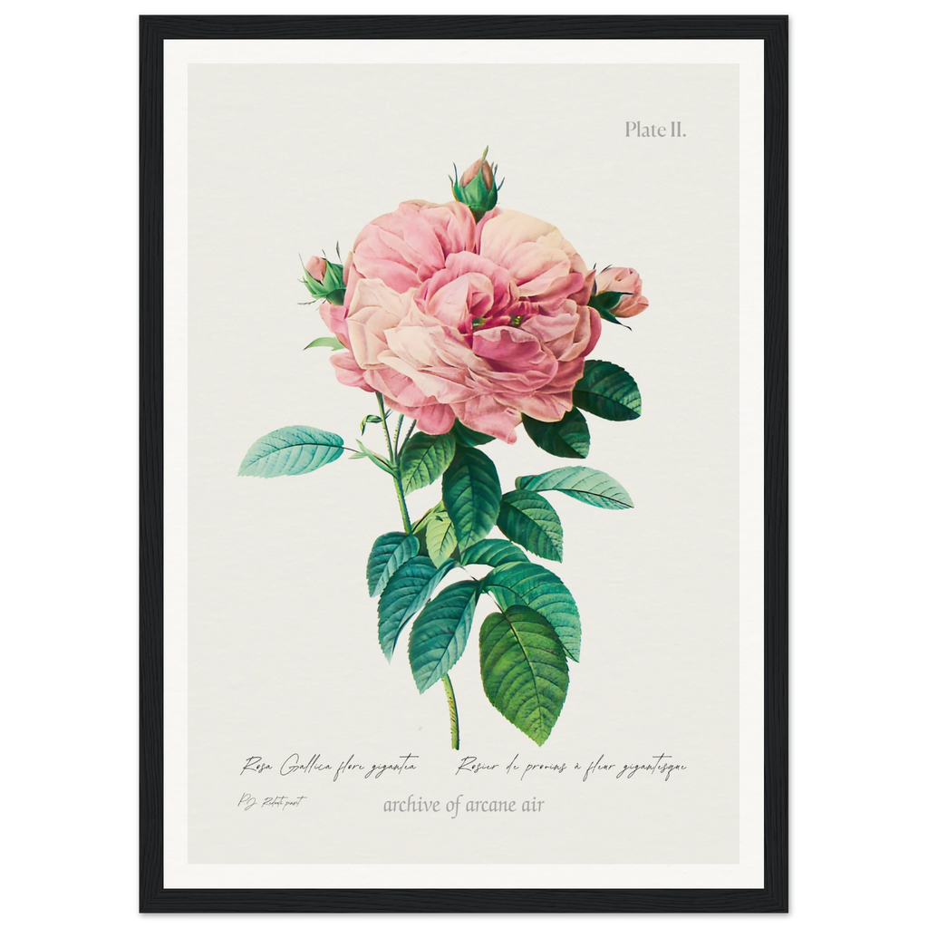 e4752e7d-4bb9-4924-bf5b-69c2bab5d977