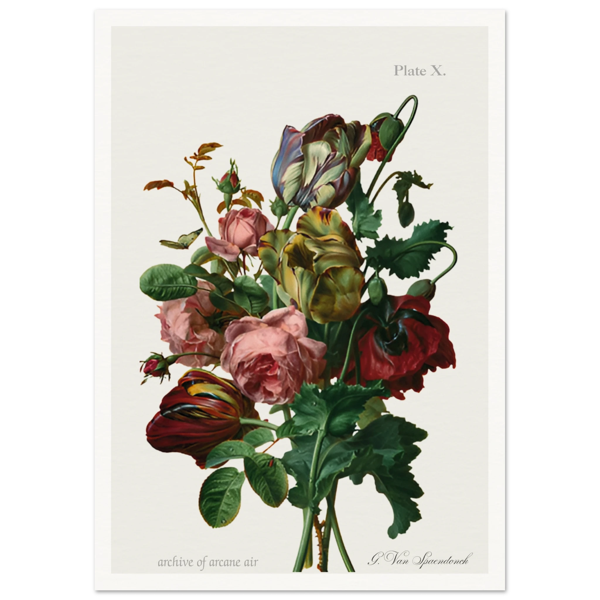 fdcb2e32-a6be-411b-a23b-ca0d1ddcb053