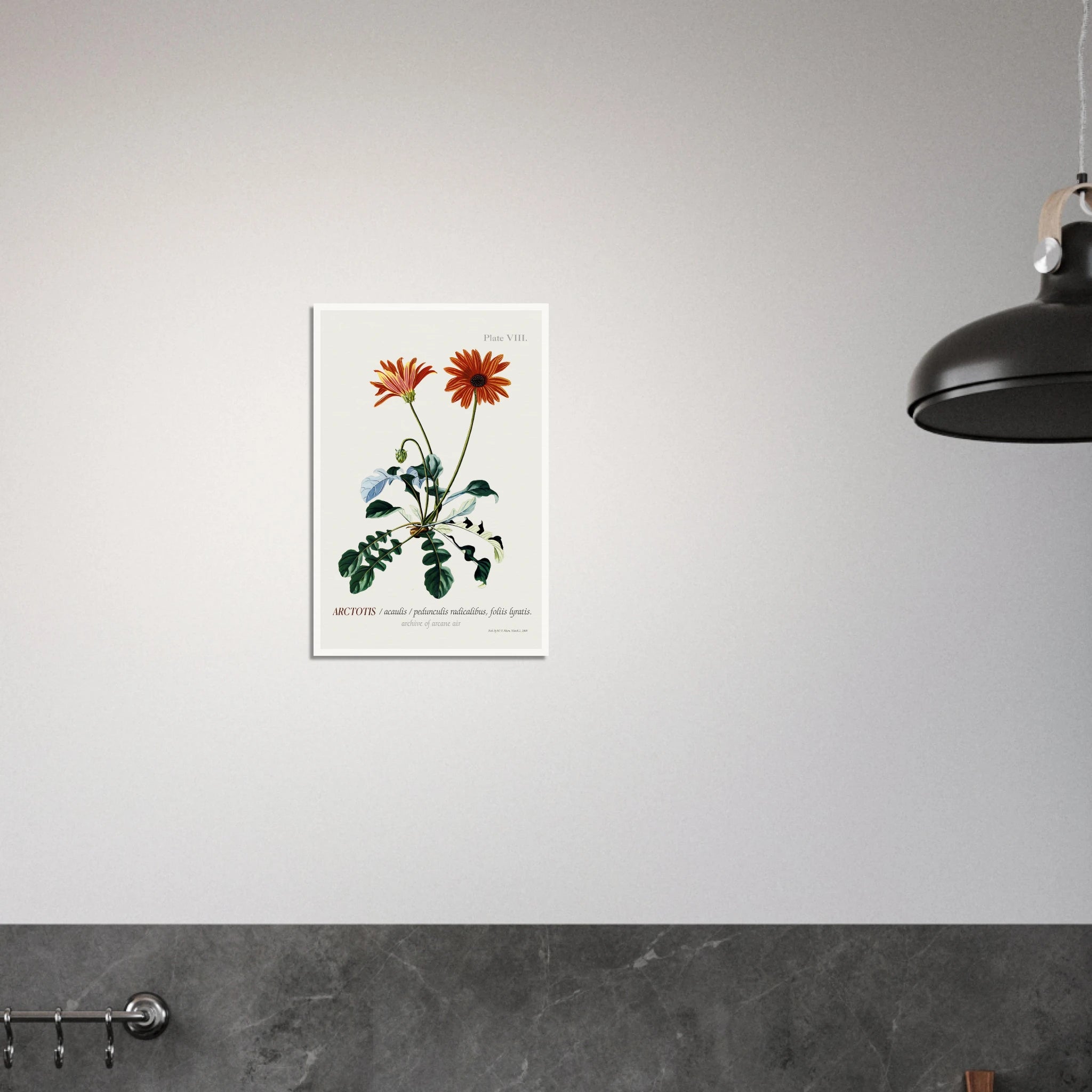 fe2cafa4-5a64-46bb-b7d4-4847f0d163d8